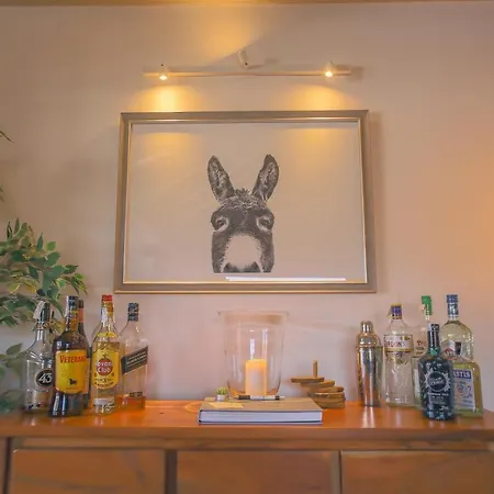 The Penthouse
